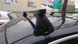 Багажник FSO Matiz 1999-2007 Hatchback Amos Koala STL на гладкий дах, Прямокутна
