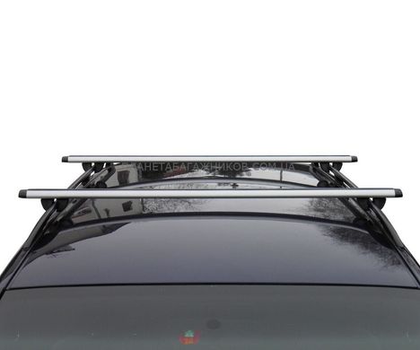 Багажник на рейлінги MINI One Clubman Kombi 2009-2014 Kenguru ST 1,2м, Хром, Овальна
