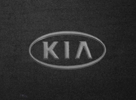 Органайзер в багажник Kia Small Black (ST 000086-L-Black)