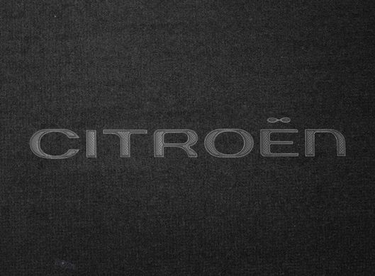 Органайзер в багажник Citroen Small Black (ST 035036-L-Black)