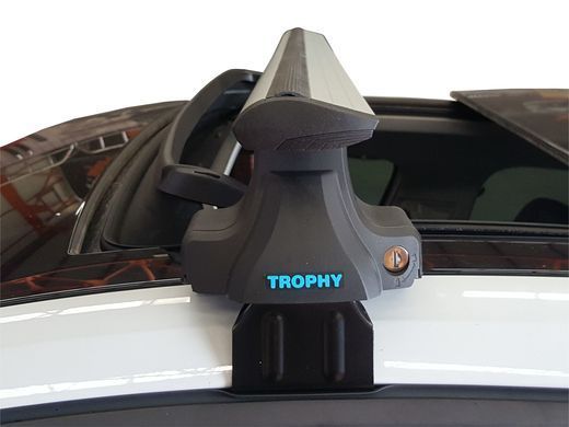 Багажник SKODA Superb 1 Седан 2005-2007 TropfyBars 1,2м