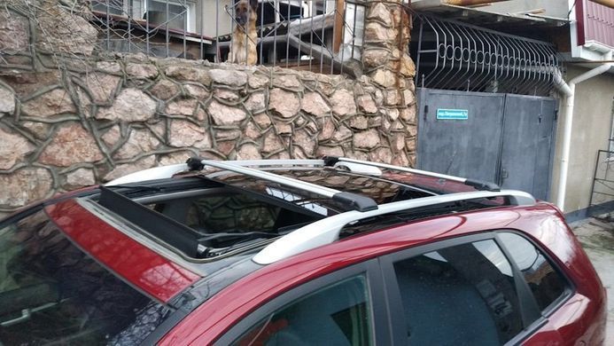 Поперечины на рейлинги Skoda Roomster 2006- хром